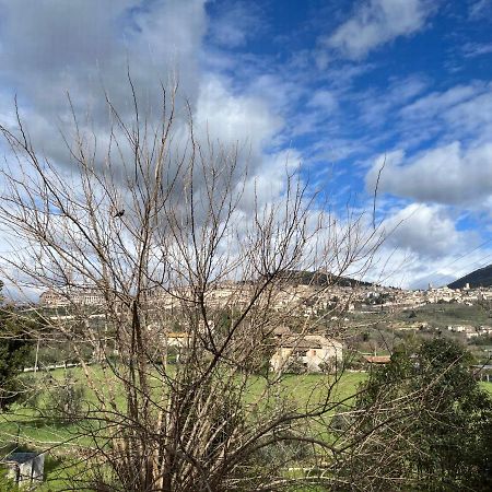Camere Rosignoli Assisi Kültér fotó