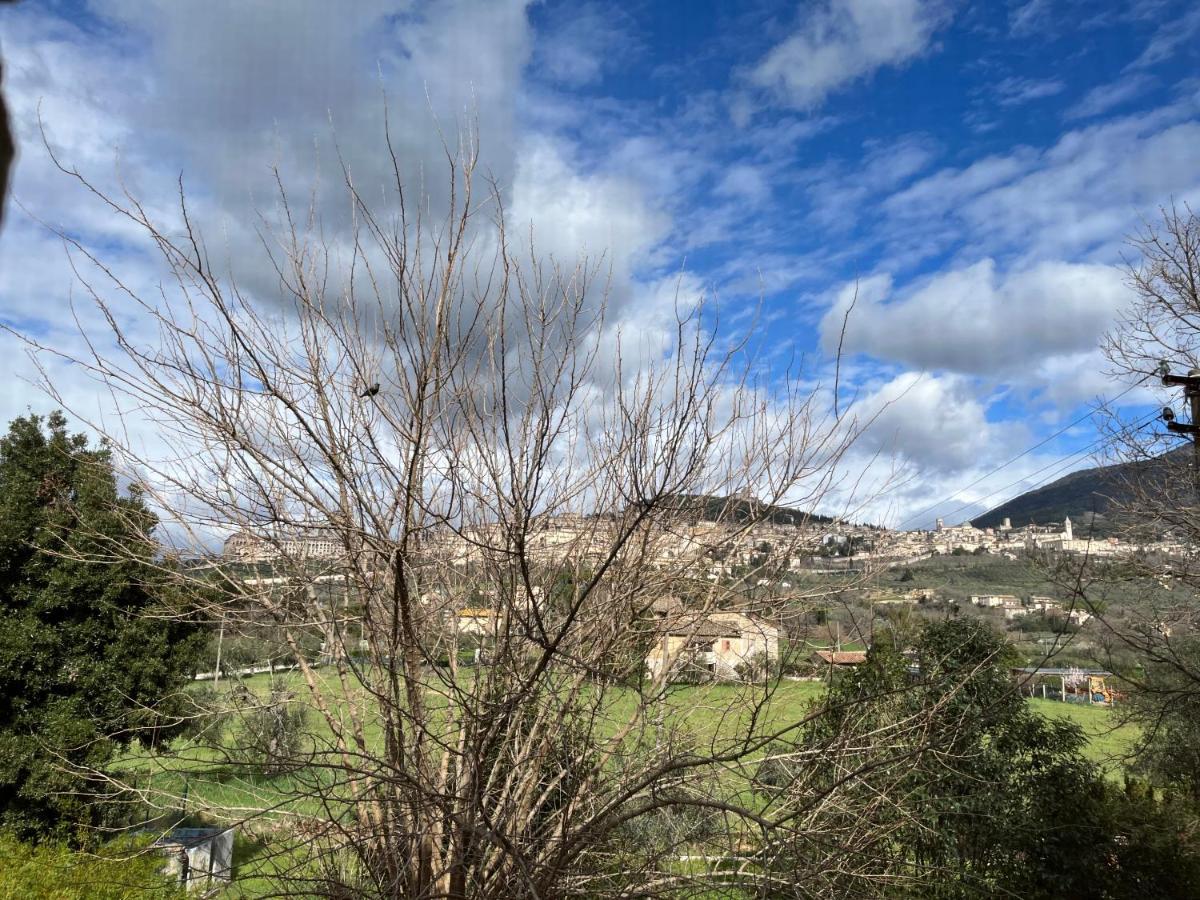 Camere Rosignoli Assisi Kültér fotó